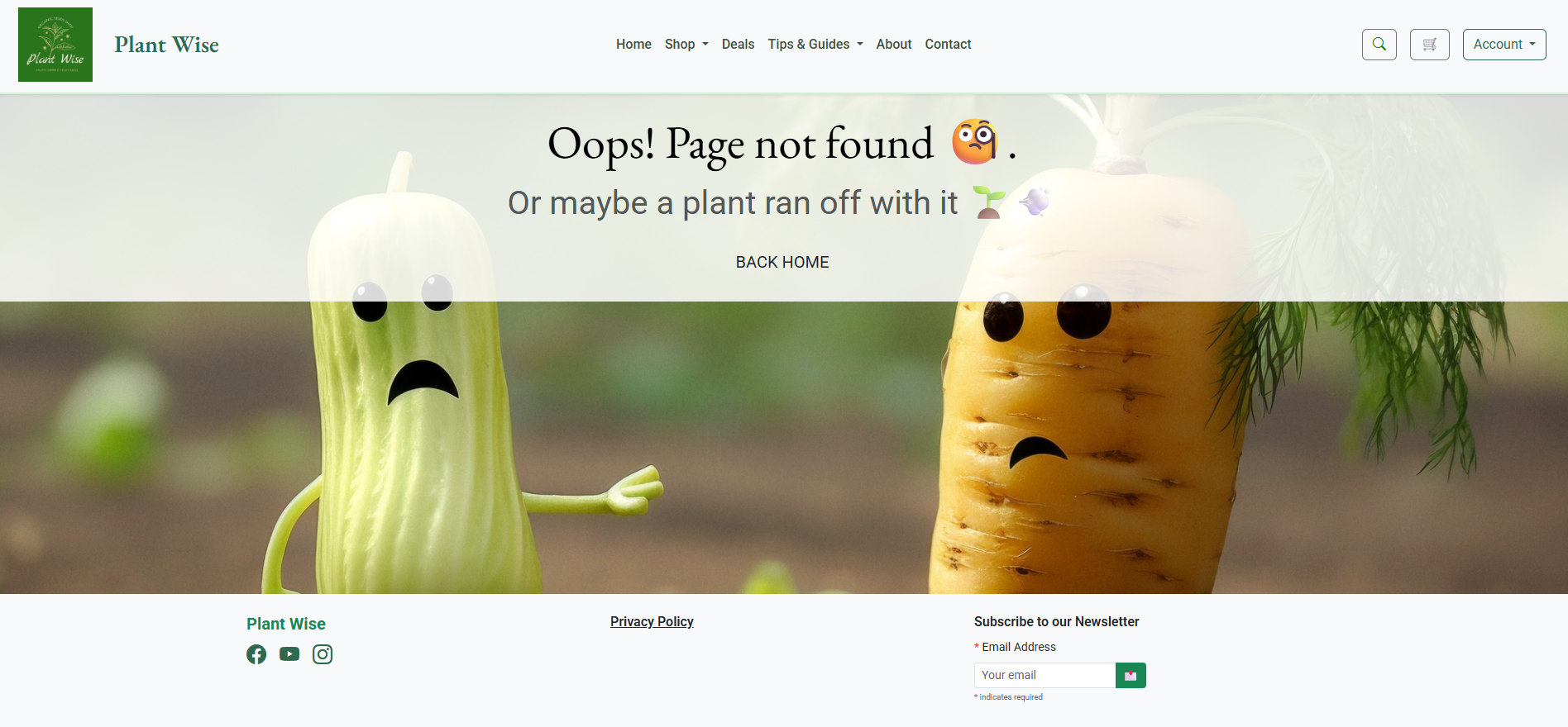 404 Error